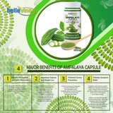 Belle Vine Ampalaya 100 Capsules